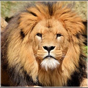 Meet your Posher, Jack